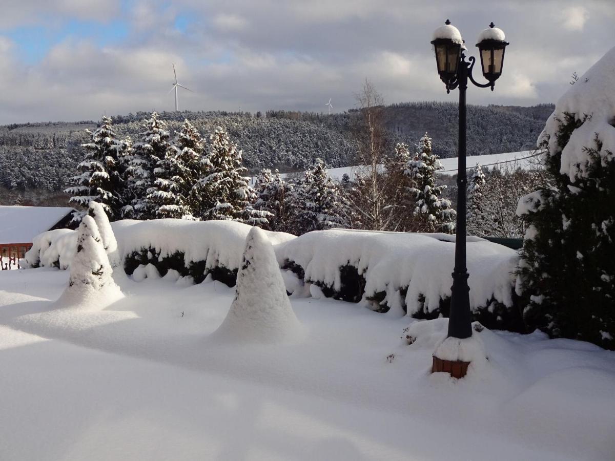Apartment In Eifel With Children S PlaygroundLirstal エクステリア 写真